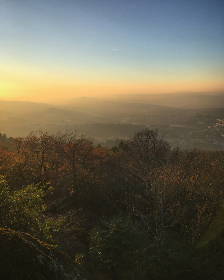 爱情岛论坛视频在线观看