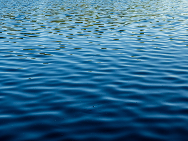 弱点免费版全集